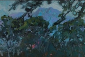 adrian pujol el avila desde el cerrito corte